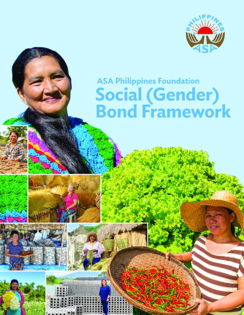 Social Bond Frameworks